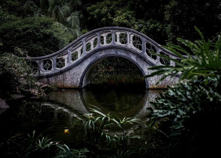 services ii background 2