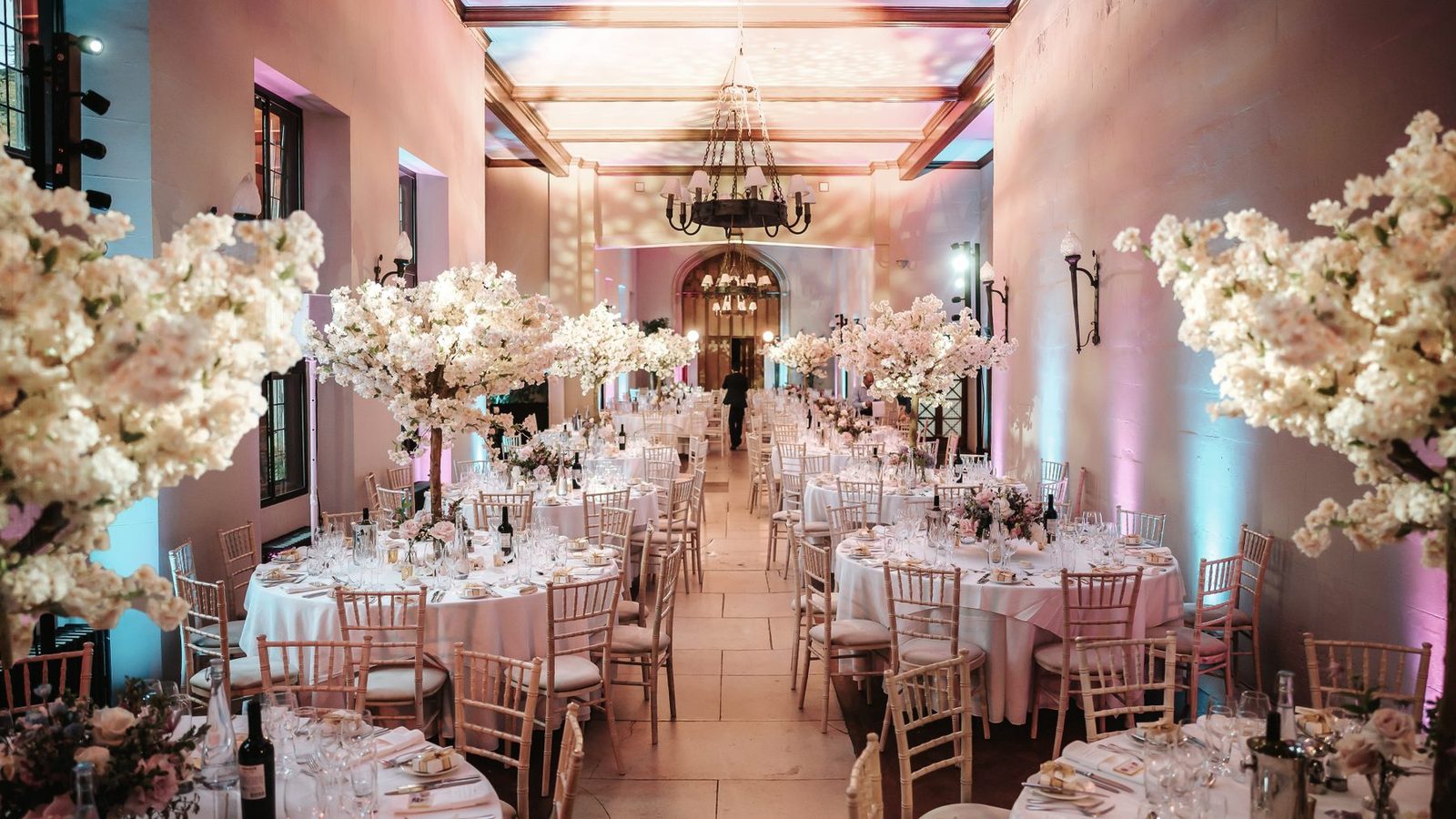 The Repton banqueting room at Ashridge House near Berkhamsted, dressed for a wedding reception with blossom trees